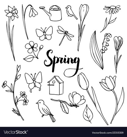 Spring doodle set Royalty Free Vector Image - VectorStock