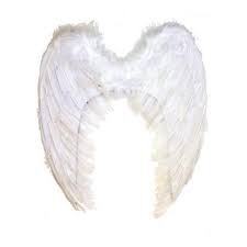 angel wings - Google Search