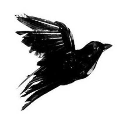 Blackbird Symbol