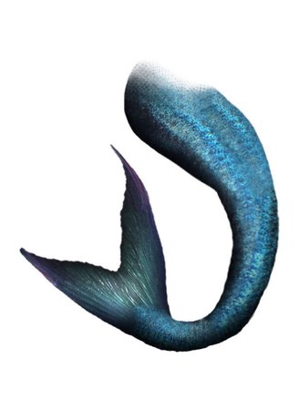 blue mermaid tail png