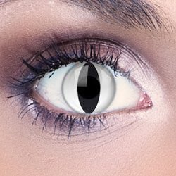 Cat Eye Contacts | Snow Cat Contact Lenses