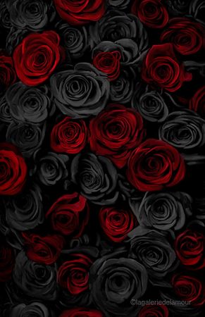 900_lagaleriedelamour_Black_and_Red_Roses.jpg (582×900)