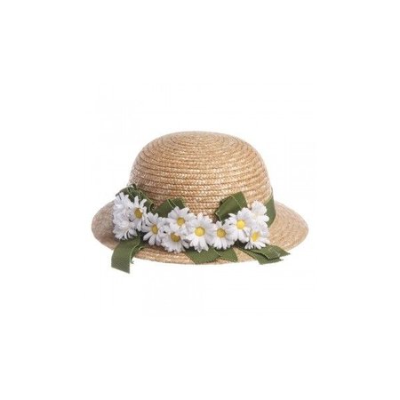 straw hat aesthetic png - Google Search