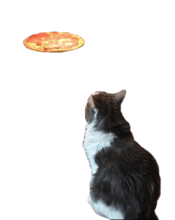cias pngs // cat pizza