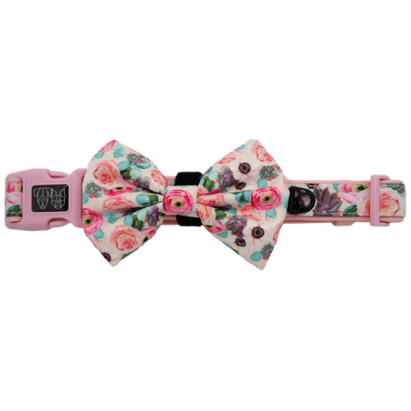DESIGNER DOG COLLAR & BOW TIE For Big & Small Dogs | BIG & LITTLE DOGS