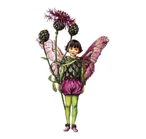 thistle fairy