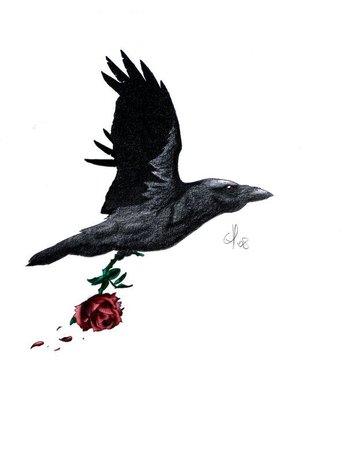 0cd0e7235cb7ed83471c6280298c169c--crow-tattoos-raven-tattoo.jpg (600×781)