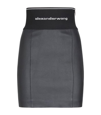 alexander wang skirt
