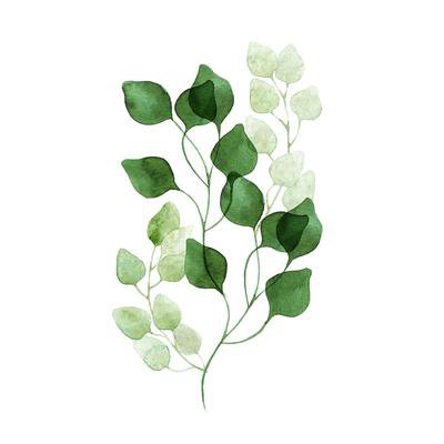 Nordic Green Leaves Natural Simple Modern Wall Art Plant Canvas Prints