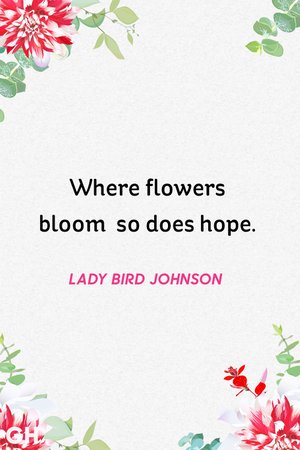 flower quotes - Google Search