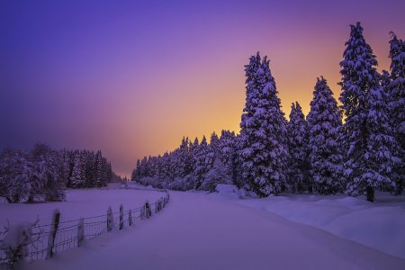 Snowy field - Winter & Nature Background Wallpapers on Desktop Nexus (Image 2499927)