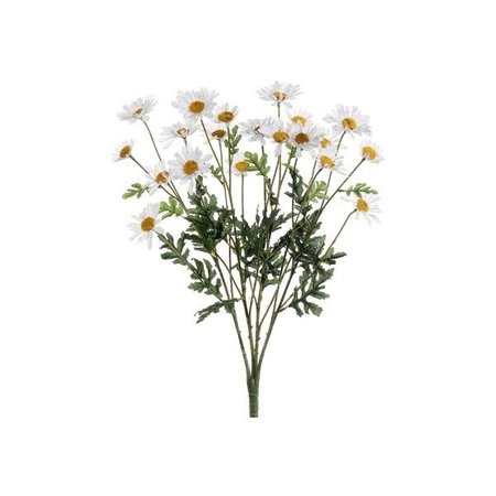 bouquet of wild daisies