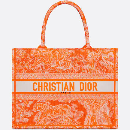 orange dior bag