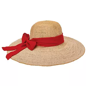 straw hat red ribbon