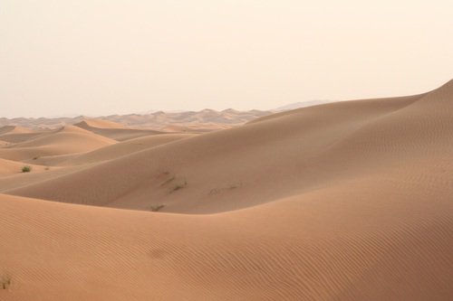 desert