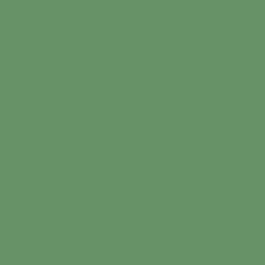 light fern green