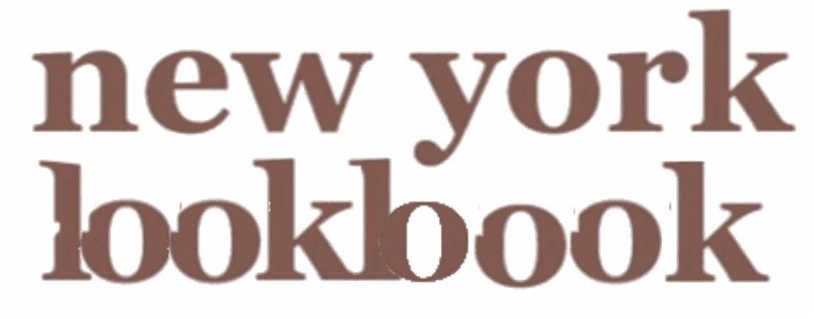 diy title: new york lookbook