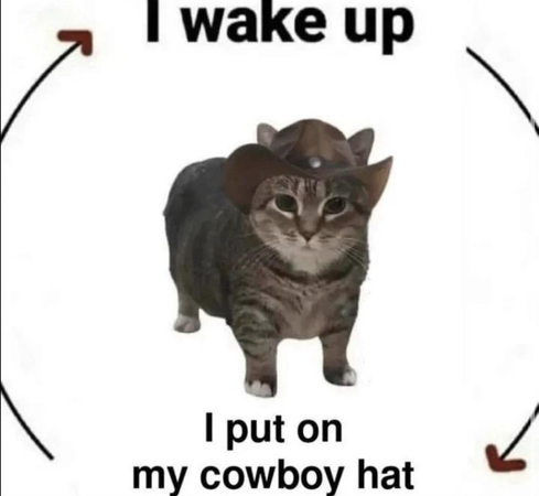 cowboy cat png