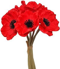 poppies bouquet - Google Search