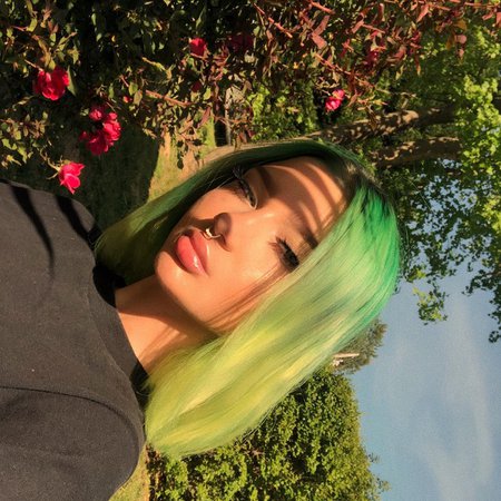 frog face on Instagram: “new hair thanks to @arcticfoxhaircolor 💚 i used phantom green, iris green, at my roots/middle of my hair then used neon moon at my ends…”