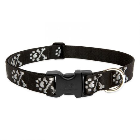 Best Dog Collar - 100% Guaranteed | Lupine Pet