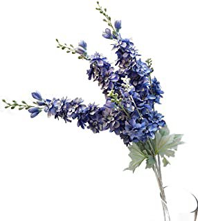 Amazon.com: bluebonnet flowers