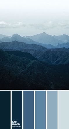 Blue Grey Color Paller