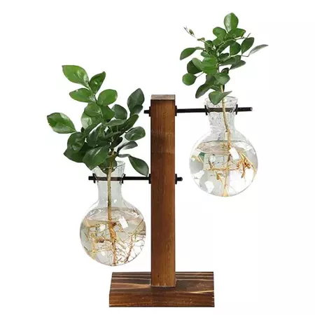 Aesthetic Room Decor | Hydro Plant Bulb Vase