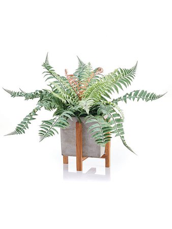 Peony Artificial Wild Fern Spray Cement Cube at John Lewis & Partners