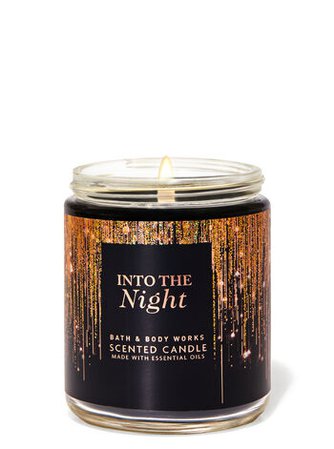 INTO THE NIGHT Single Wick Candle | Bath & Body Works