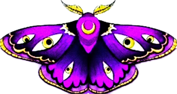 nonbinary moth