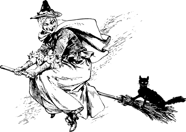 Witch Broom Cat - Free vector graphic on Pixabay