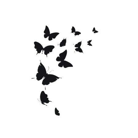black butterfly png