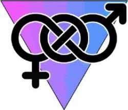Bisexual sign