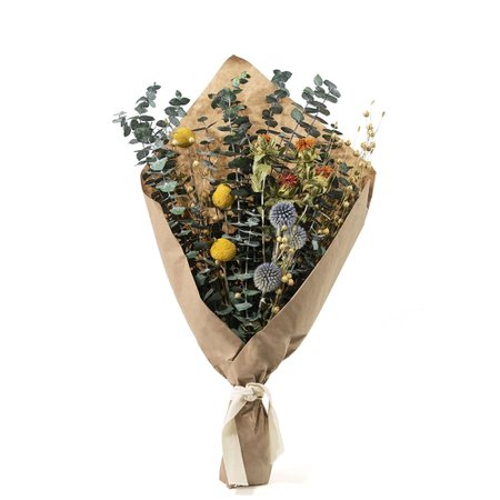 Safflower Thistle Bouquet | West Elm
