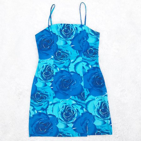 🌹💠Y2K 💠🌹〰 Digital Blue Valentine Rose dress. Size 7/8 x - Depop