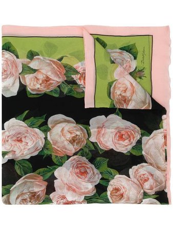 Dolce & Gabbana rose print scarf