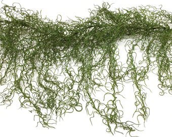 4 Ft Green Artificial Spanish Moss Garland Gypsophila | Etsy