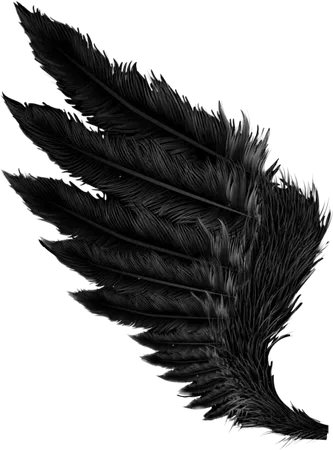 black angel wings