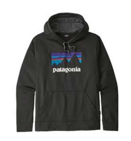 Patagonia sweatshirt