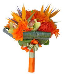 Google Image Result for https://www.sarahsflowers.co.uk/wpcms/wp-content/uploads/2014/06/Brides-Orange-Gerbera-Birds-of-Paradise-Flower-Tropical-Wedding-Bouquet-JR2_8738.jpg