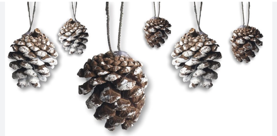 Pine Cone Banner