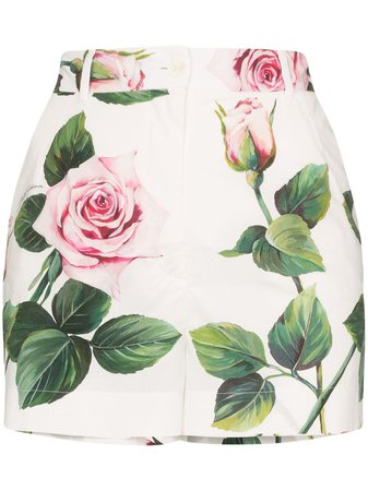 White Dolce & Gabbana Rose Print High-Rise Shorts | Farfetch.com
