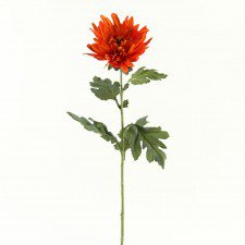 fall single flower - Google Search
