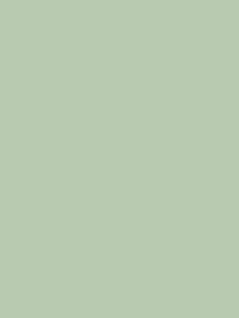sage green background - Google Search