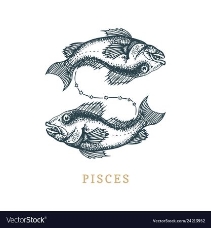 Pisces zodiac symbol hand drawn in engraving Vector Image