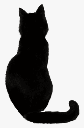 black cat vector png transparent - Google Search