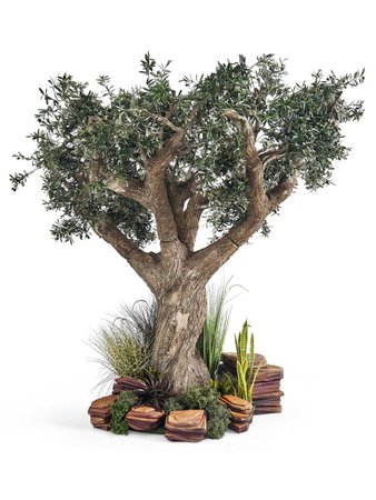 Replica Mature Olive Tree with Mediterranean Styling | Event Prop Hire