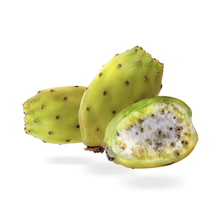 Cactus Pear – SicarFarms
