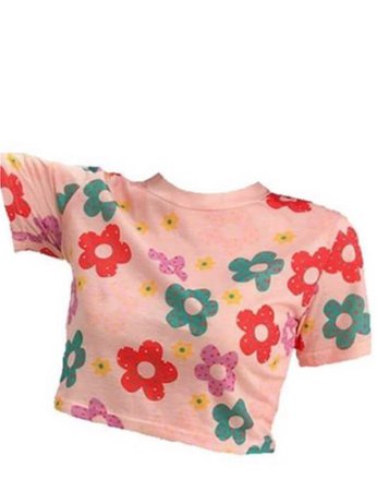 graphic floral tee png